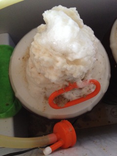 1.070 OG meets some Yeast it Loves